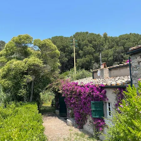 Villa The Old Mill With Private Garden And Torrent *