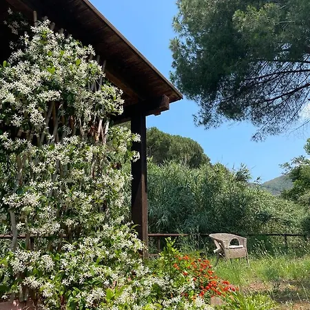 Villa The Old Mill With Private Garden And Torrent *