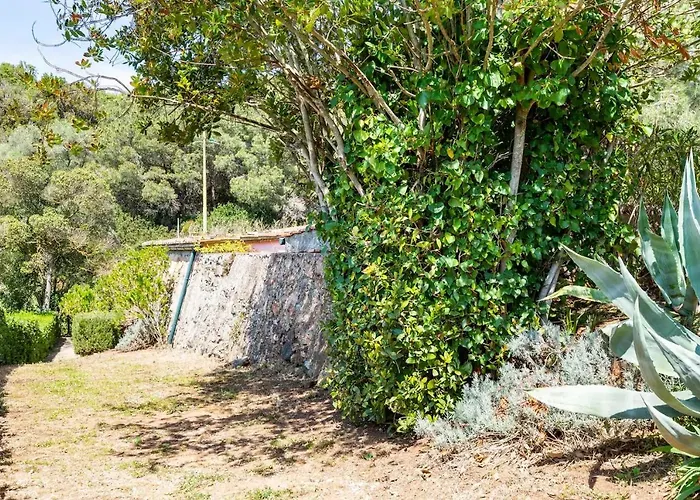 The Old Mill With Private Garden And Torrent *