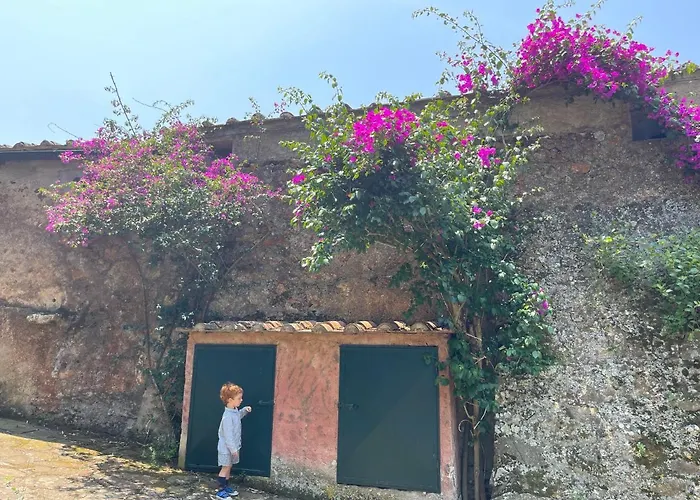 ヴィラ The Old Mill With Private Garden And Torrent